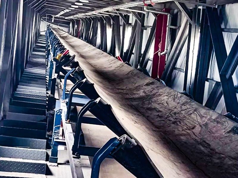 DTII belt conveyor